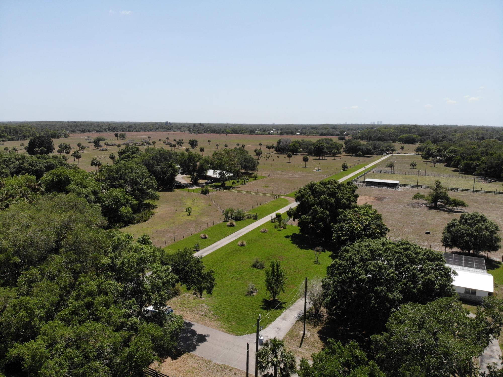 Horse and Cattle Ranch, Ft. Myers, Florida!