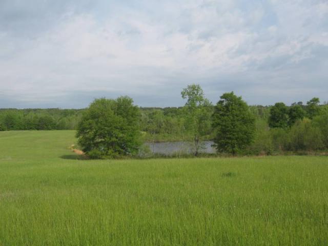 125 Acre Recreational Tract