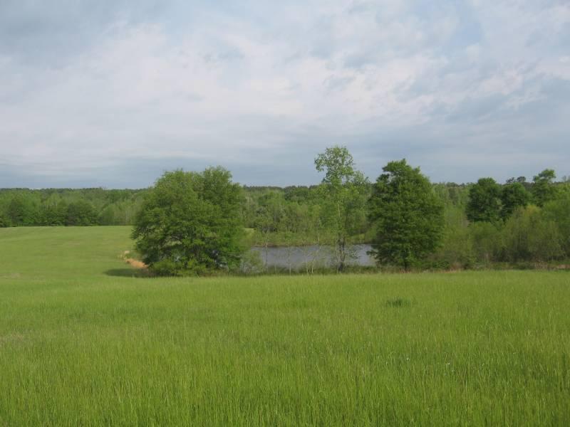 125 Acre Recreational Tract