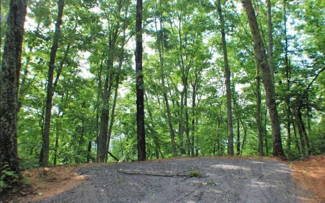 3 Lots with Views and Cool Mountain Air