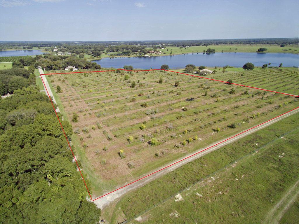 14+/- Acres on Lake Cooley