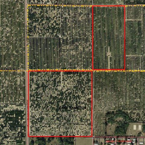 Future Industrial Site and Existing Citrus Gr