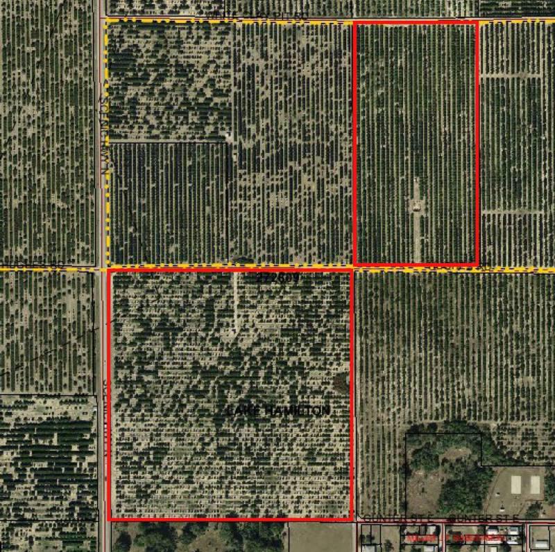 Future Industrial Site and Existing Citrus Gr