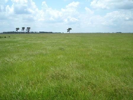 Myakka City Ranch & Recreation