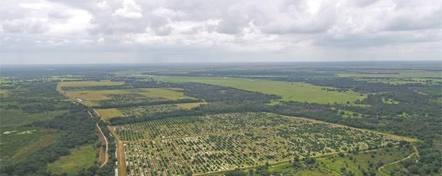Sun Pure Grove - Florida Ag. Portfolio
