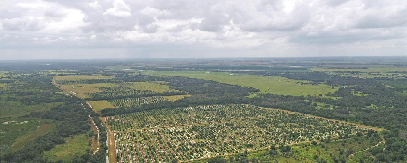 Sun Pure Grove - Florida Ag. Portfolio