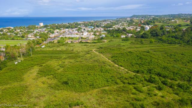 Development Land FOR SALE in Rincon, PR
