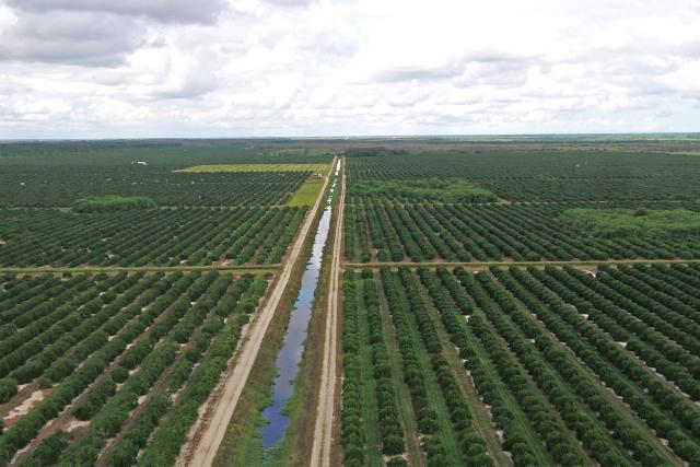 River Gem Grove – Florida Agricultural Portfo