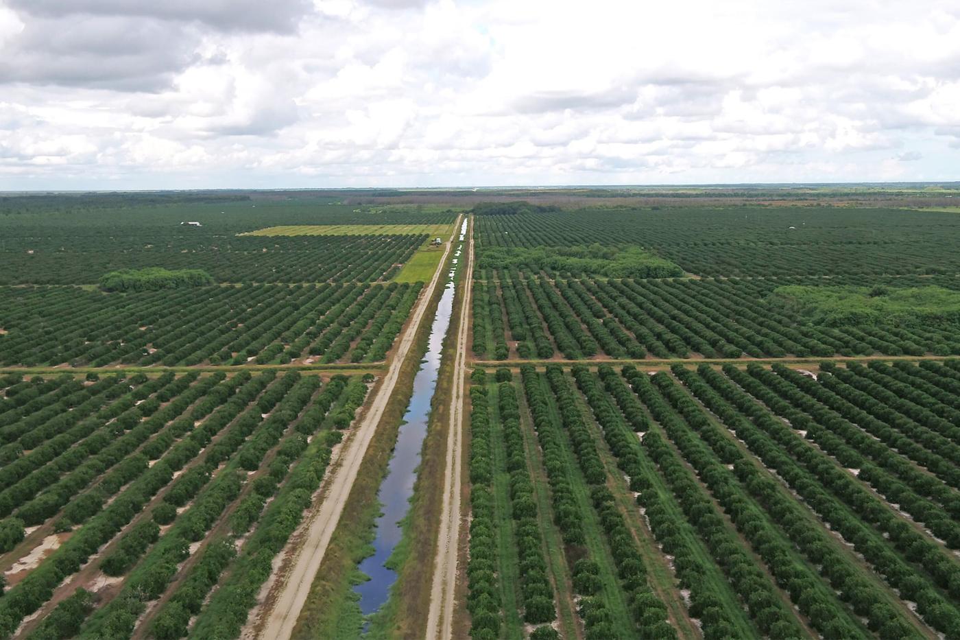 River Gem Grove – Florida Agricultural Portfo