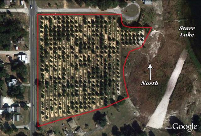 6.77 Acre Lake Starr Grove