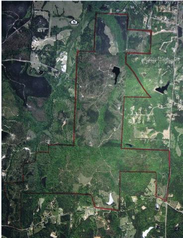 1,187 Ac Timber Tract, Coweta Co.