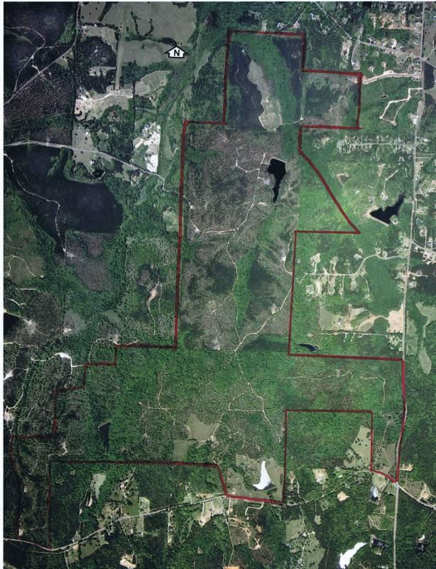 1,187 Ac Timber Tract, Coweta Co.