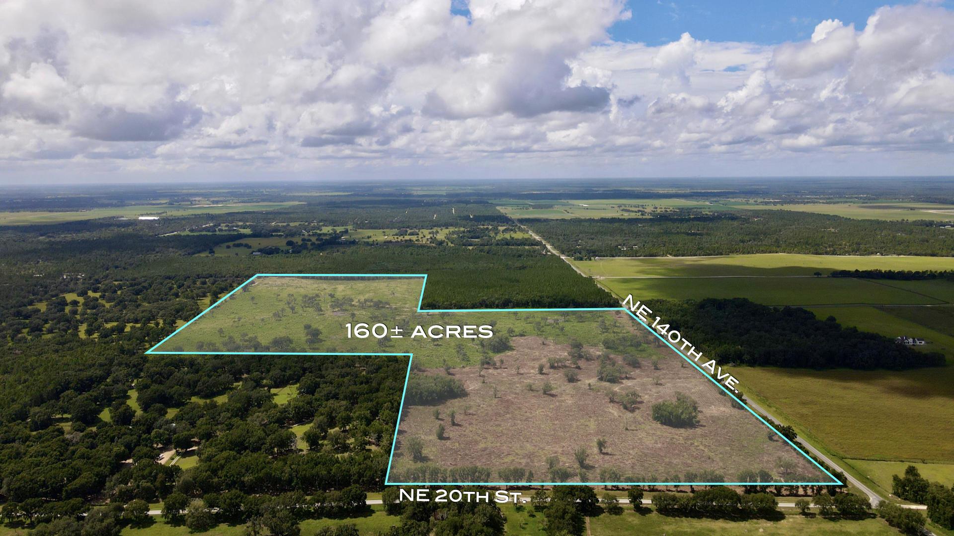 160+- acres High and Dry AG  in Williston