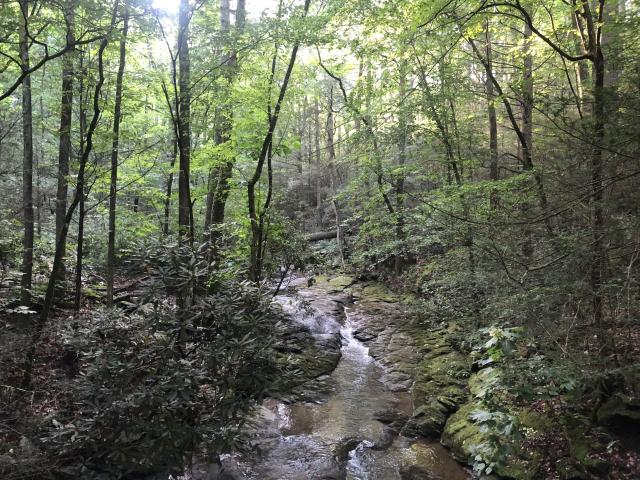84+- Private Ac, Mature Timber Creek w Bridge