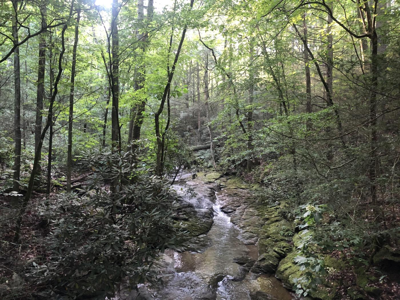 84+- Private Ac, Mature Timber Creek w Bridge