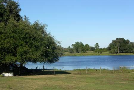 Alturas Creek Side