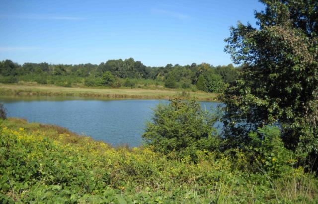 162Â± Acre tract in Athens - Bank Owned