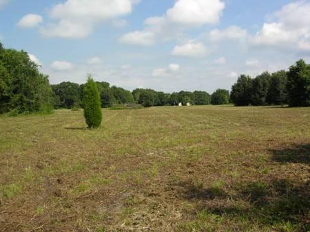 Old Tampa Highway Acreage