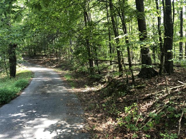 2.34 +/- Wooded Acres in Bartow County