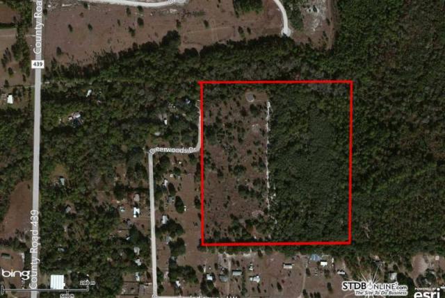 40 acres in the Country