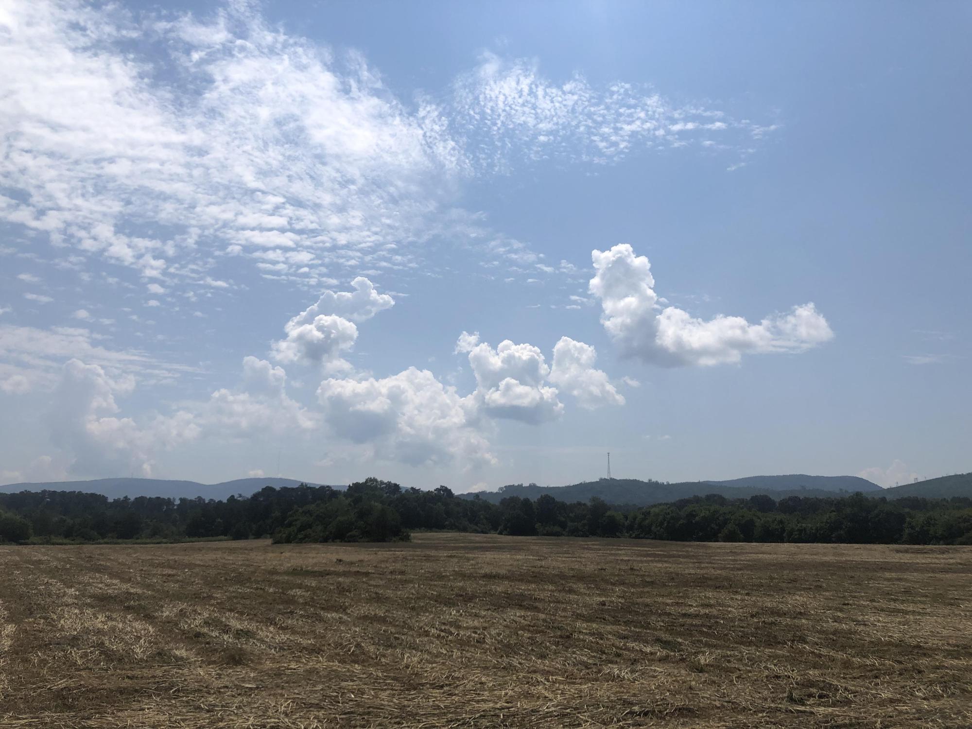 26.54 Acres Potential Commercial Land