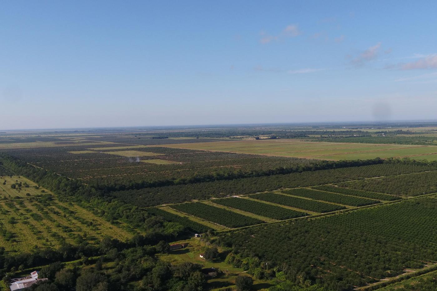 Marsh Tract Combined – Florida Ag Portfolio