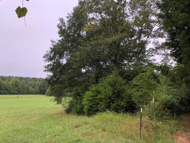 7+-Acres, Euharlee Road