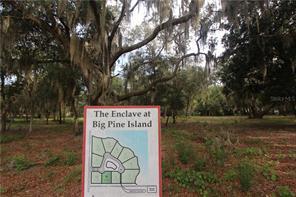Big Pine Island Road, Lady Lake, FL 32159