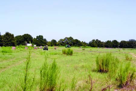 Ocala Golden Properties Investment