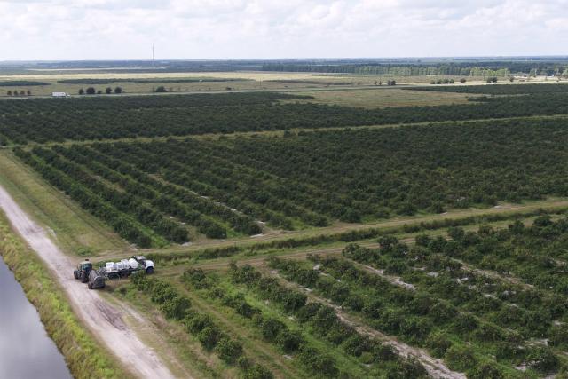 Indian River West-South-Florida Ag Portfolio