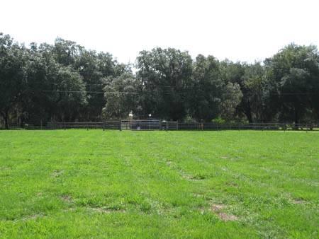 Bryant Road 5 Acres