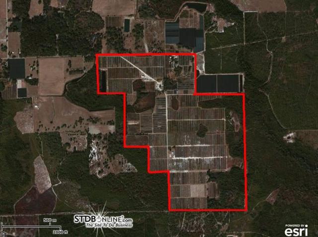 400 Acre Tree Nursery
