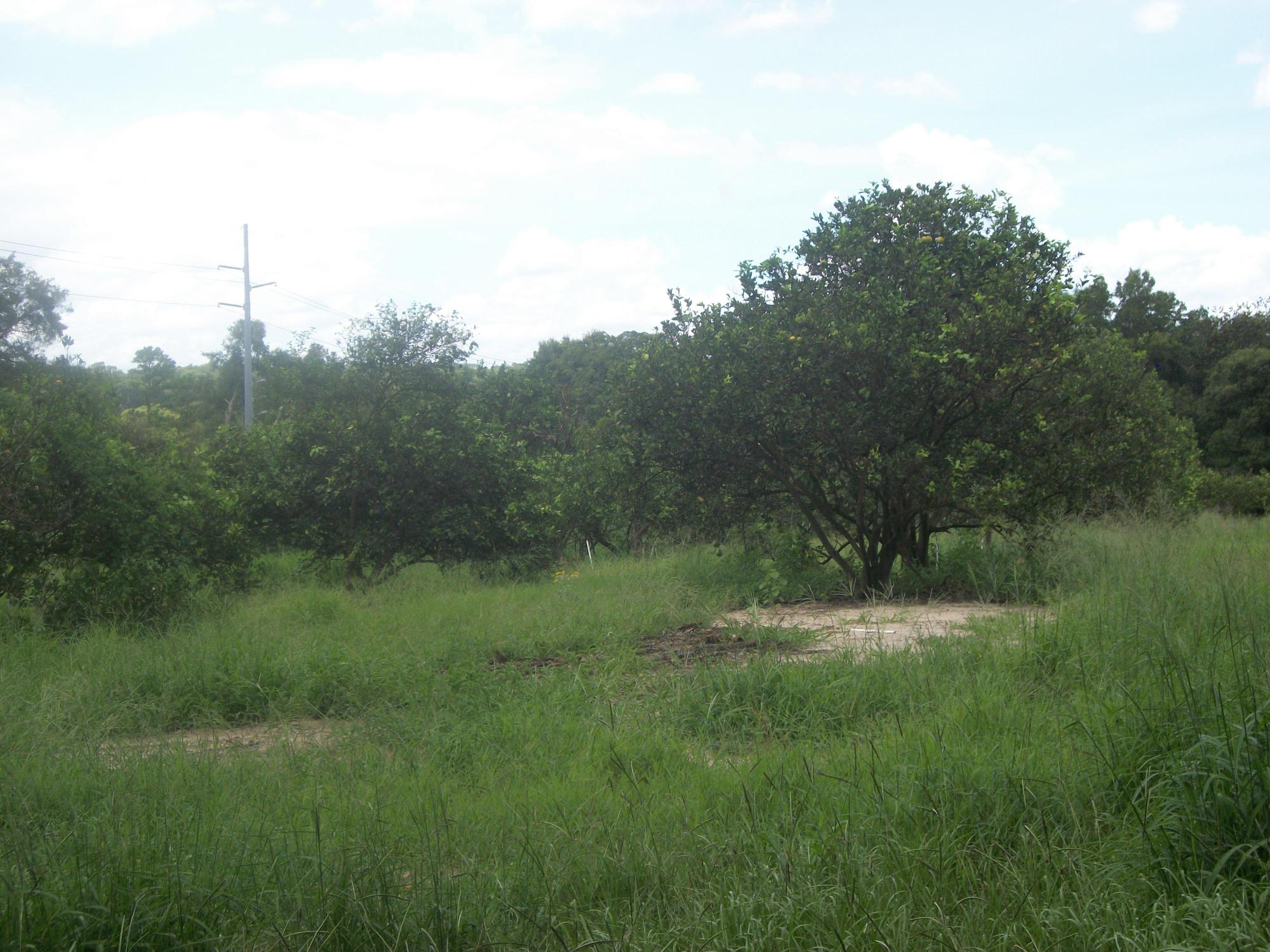 20 Acres Zoned LM
