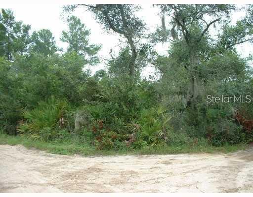 Unimproved Leesburg Residential Lot