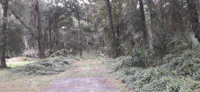 10 ACRES  near the VILLAGES