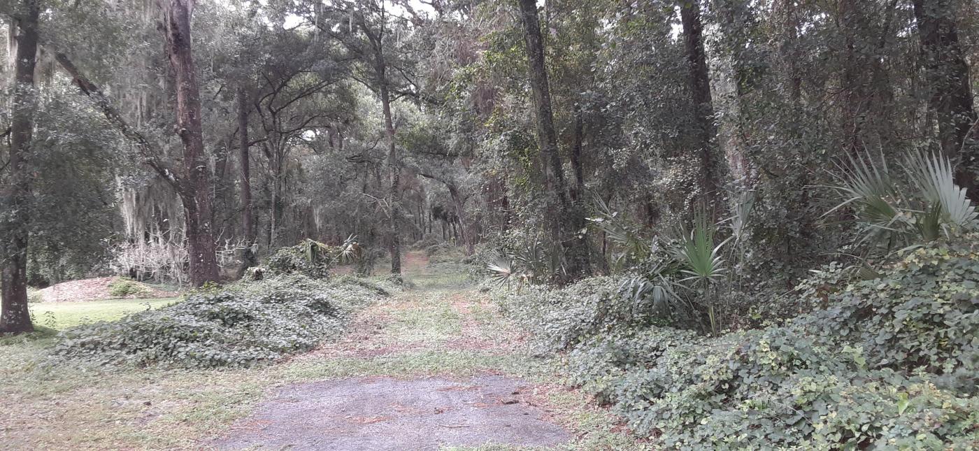 10 ACRES  near the VILLAGES
