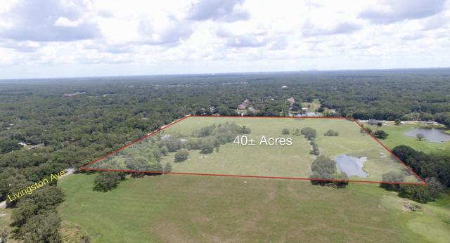 40 ac Residential in Lutz