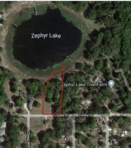 Prime 1.9 acre vacant lot on Lake Zephyr