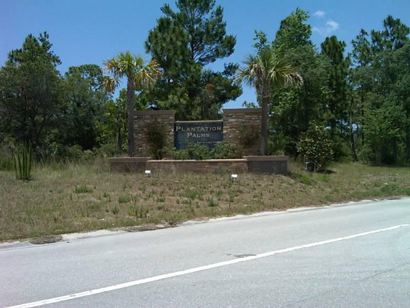 Plantation Palms 81-1/2ac lots