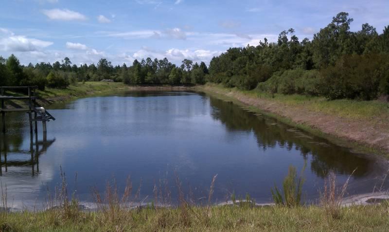 388 ac Tree Farm