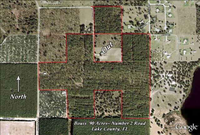 High hill vistas overlooking Lake Harris 10ac