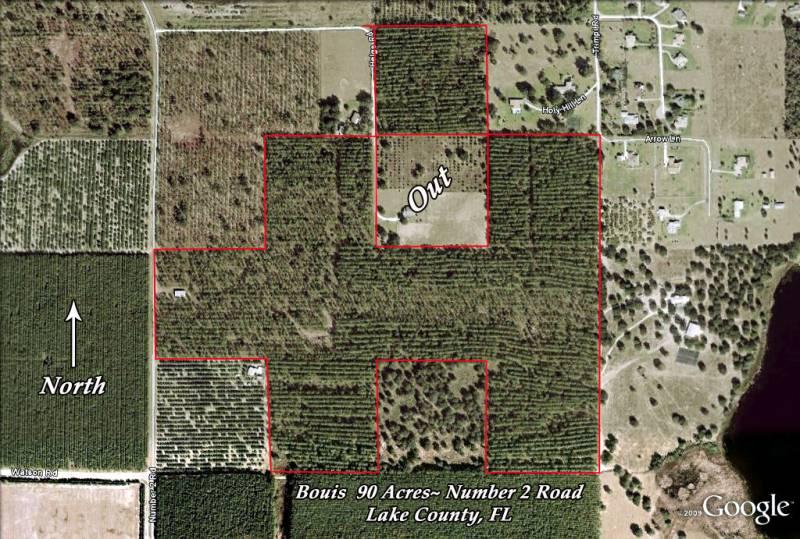 High hill vistas overlooking Lake Harris 10ac