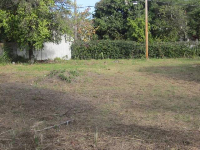 Ybor City Land