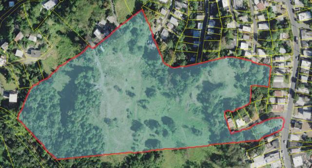 Veredas de Guaynabo Land