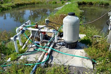 North Lakeland Fish Farm