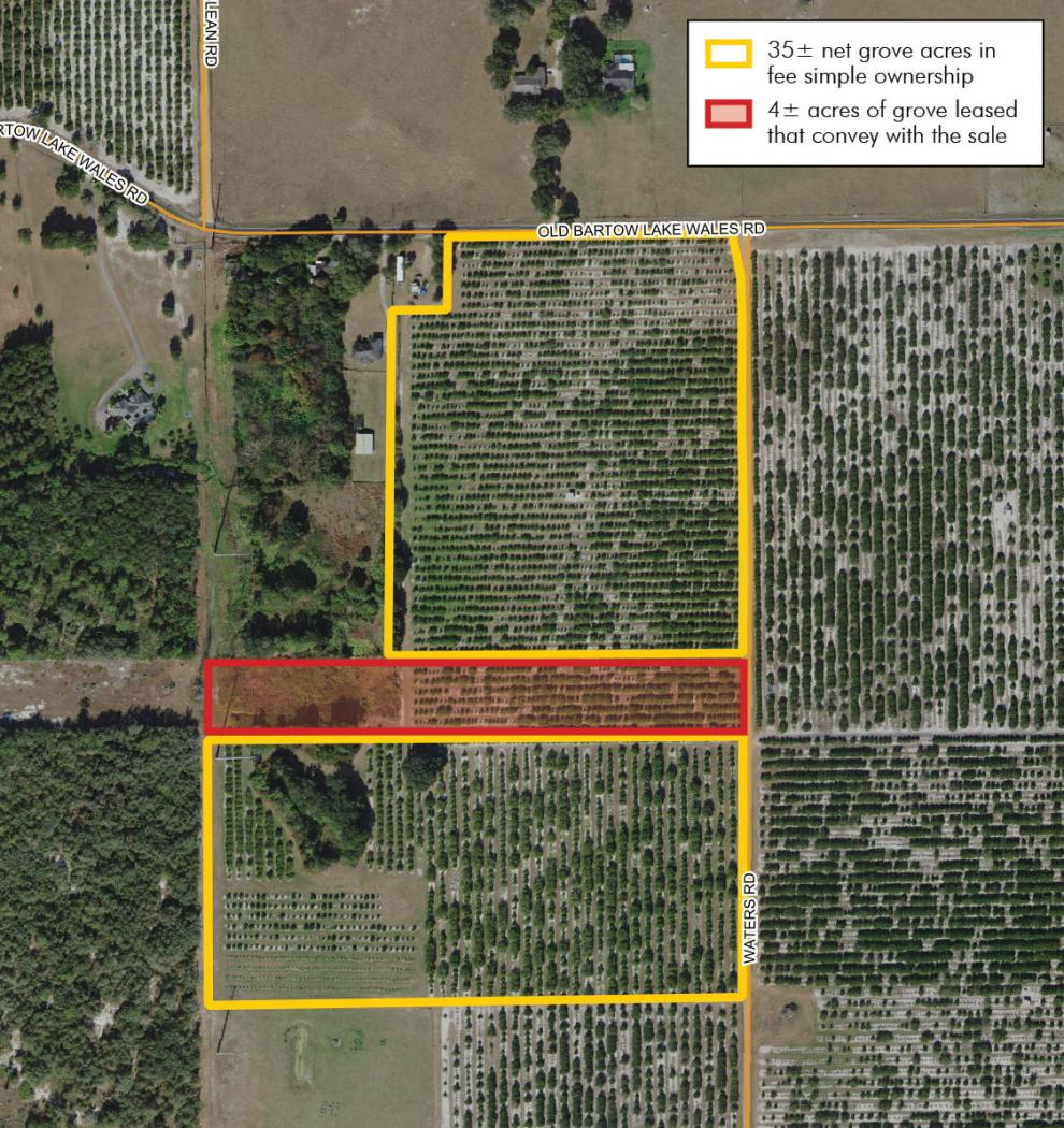 Citrus Grove - Future Development Potential