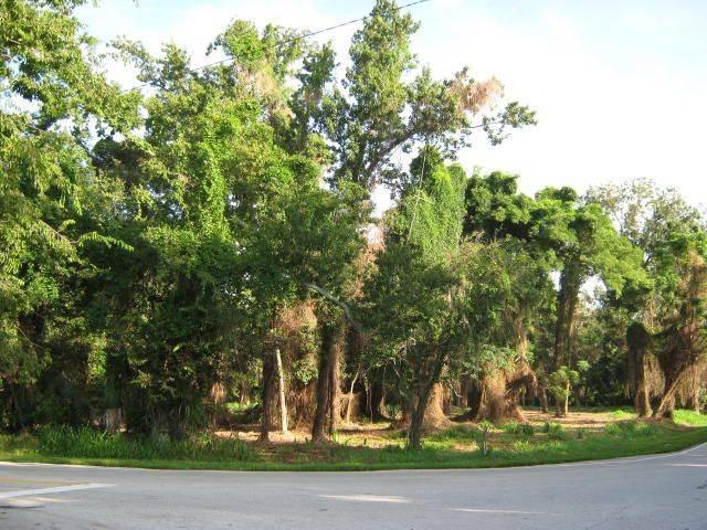 High Hammock Preserve