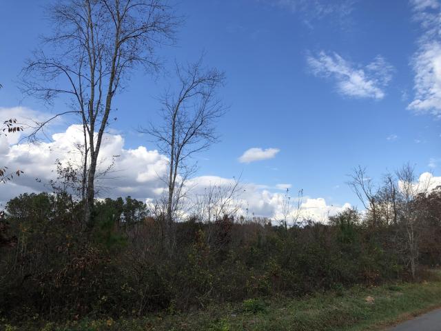 Madden Road