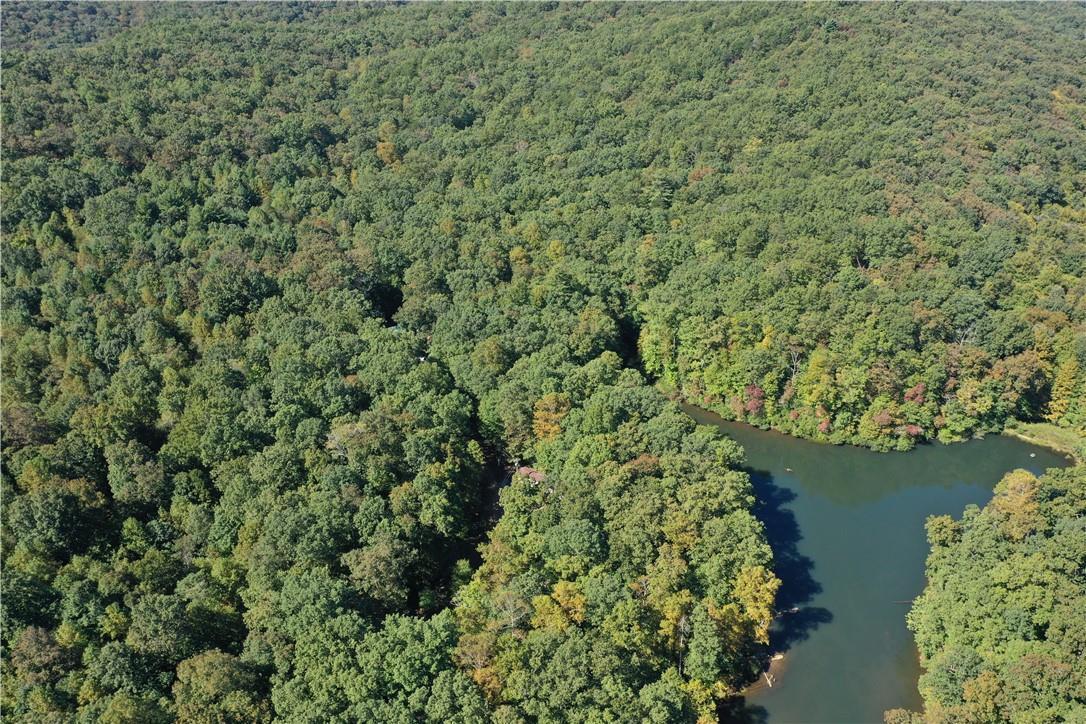 57.64+- Acres Ellijay, Georgia