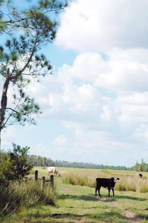 Bereah Ranch
